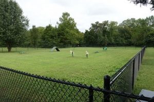 Murfreesboro Bark Park