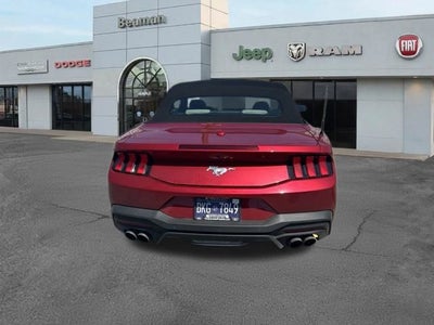 2024 Ford Mustang EcoBoost